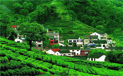 Meijiawu Tea Culture Village