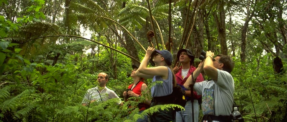 bird-watching1