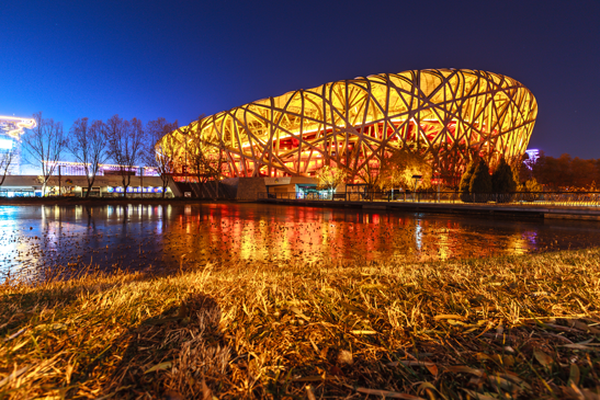 Bird's Nest- National 0